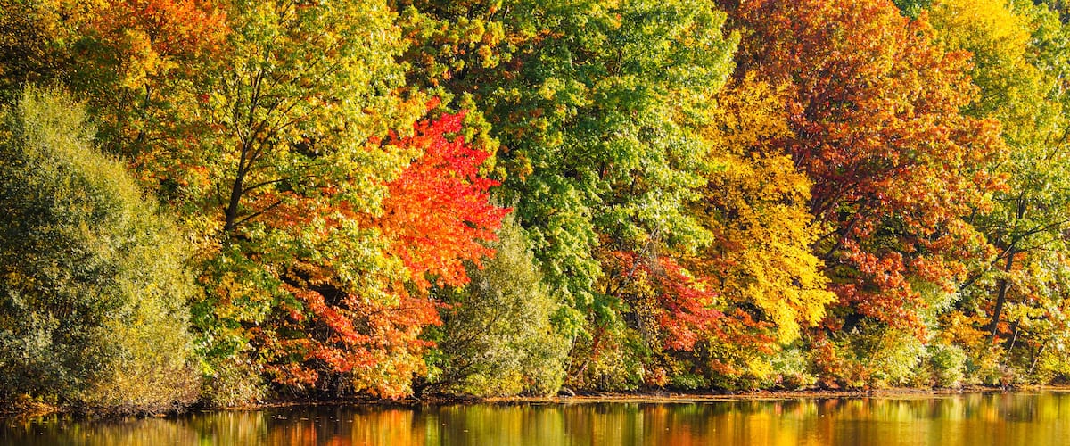 Fall in New York beautiful autumn leaves reflections in lake