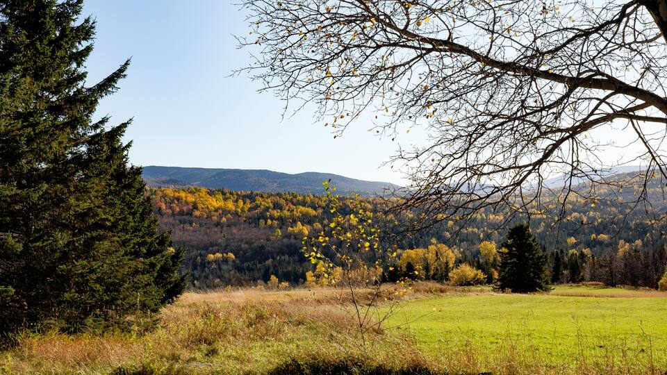 Valley View