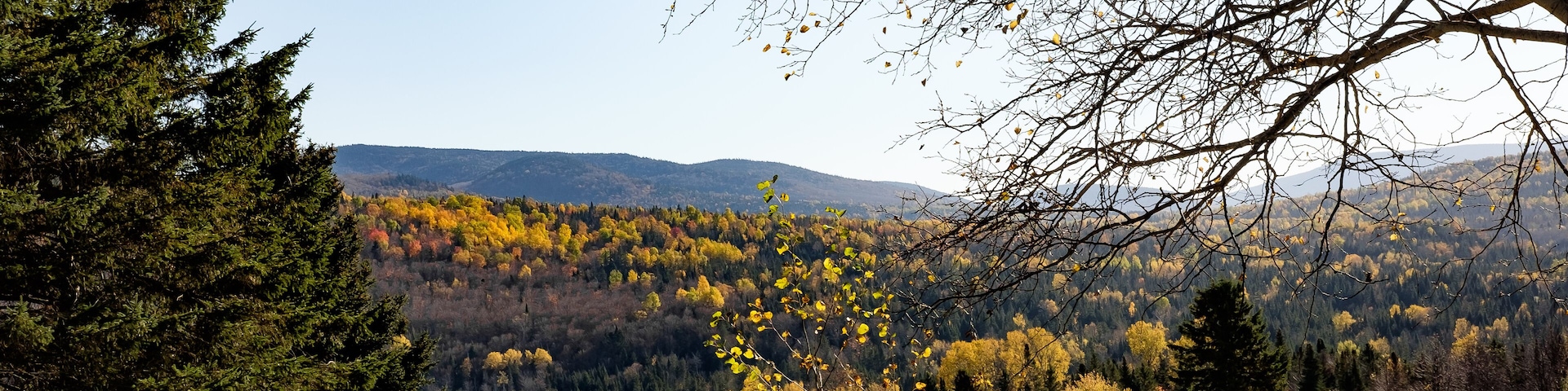 Valley View