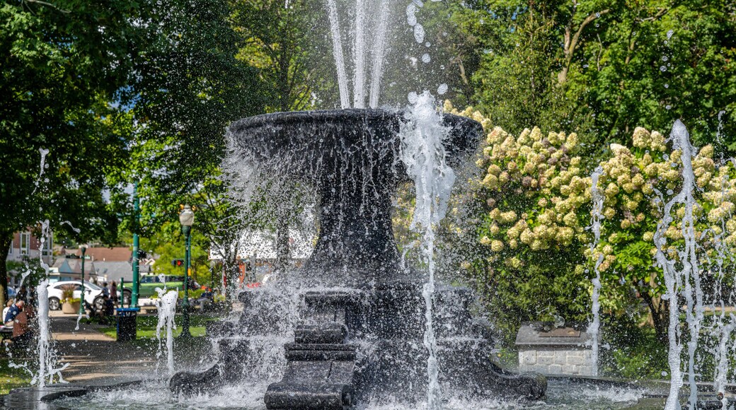 Een fontein met verschillende waterstralen in een park met bomen en een gebouw op de achtergrond.