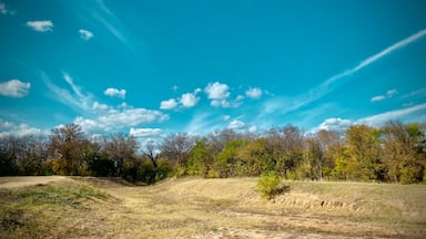 A landscape with a clear blue sky, scattered clouds, and a variety of trees.