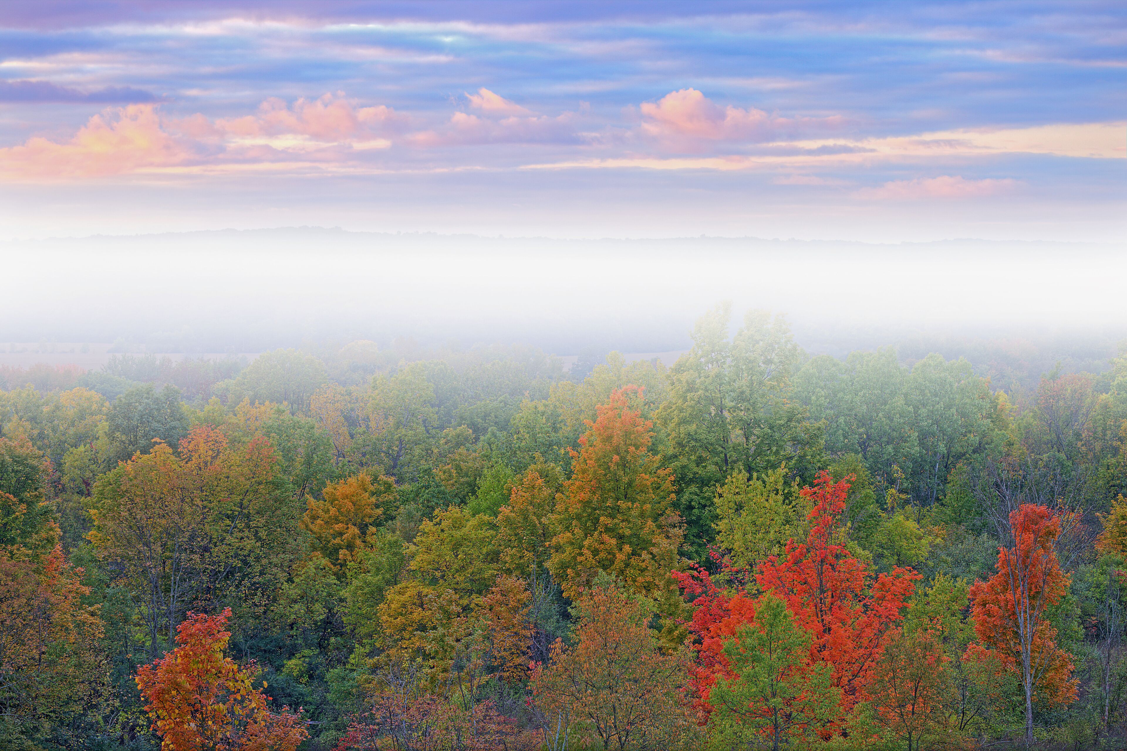 Foggy dawn landscape with dramatic sky Kalamazoo River Valley, Michigan, USA