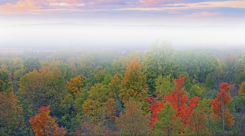 Foggy dawn landscape with dramatic sky Kalamazoo River Valley, Michigan, USA