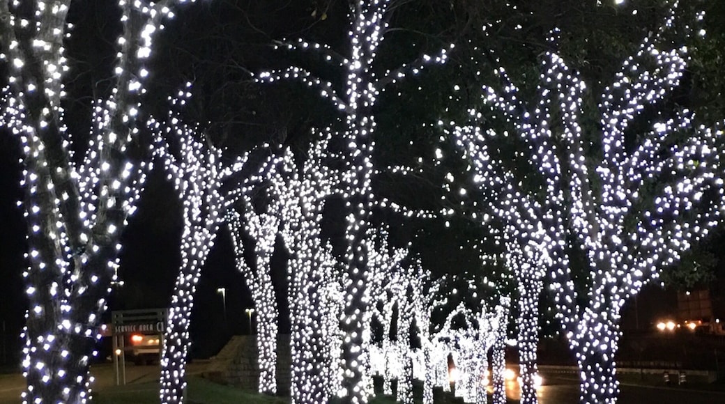 The Shops at Willow Bend is one of my favorite malls as it's very beautiful and has some cool stores. The mall is beautifully decorated with the holiday theme and has a huge carriage almost like one made of ice. The outside of the mall has trees all decorated with white LED lights for about a mile.