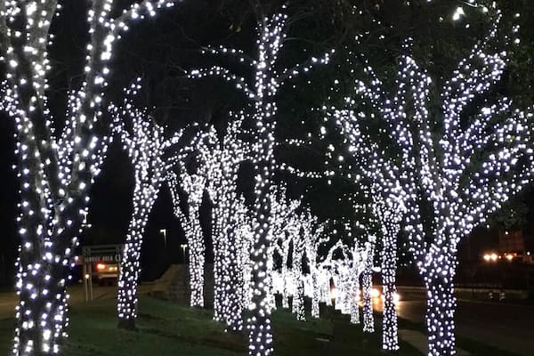 The Shops at Willow Bend is one of my favorite malls as it's very beautiful and has some cool stores. The mall is beautifully decorated with the holiday theme and has a huge carriage almost like one made of ice. The outside of the mall has trees all decorated with white LED lights for about a mile.