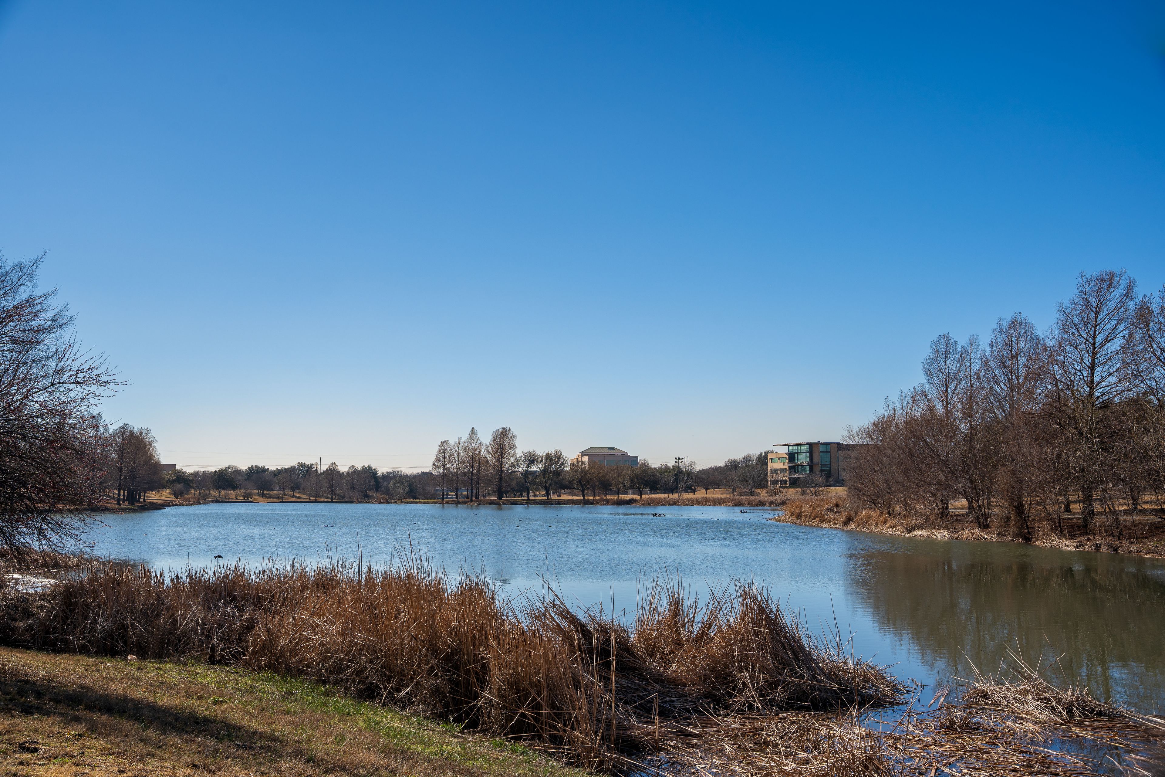 A calm lake with trees and buildings in the background.