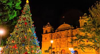 Facade Christmas Tree Lady Assumption Cathedral Church Oaxaca Mexico