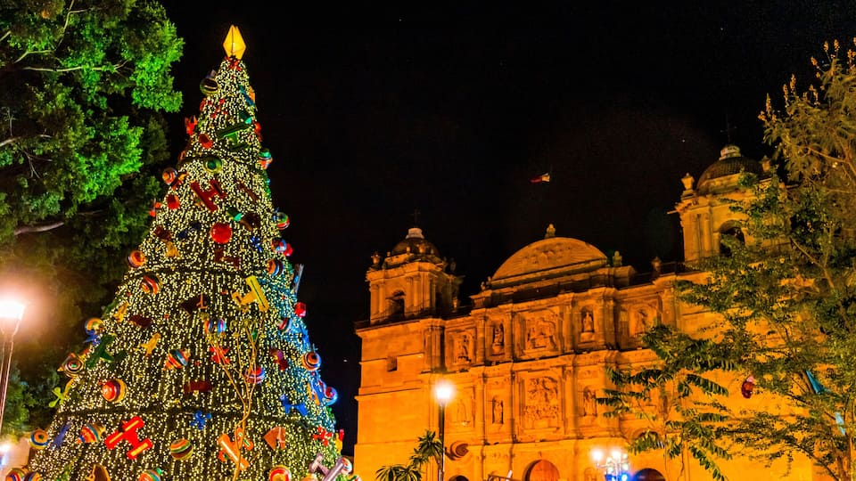 Facade Christmas Tree Lady Assumption Cathedral Church Oaxaca Mexico
