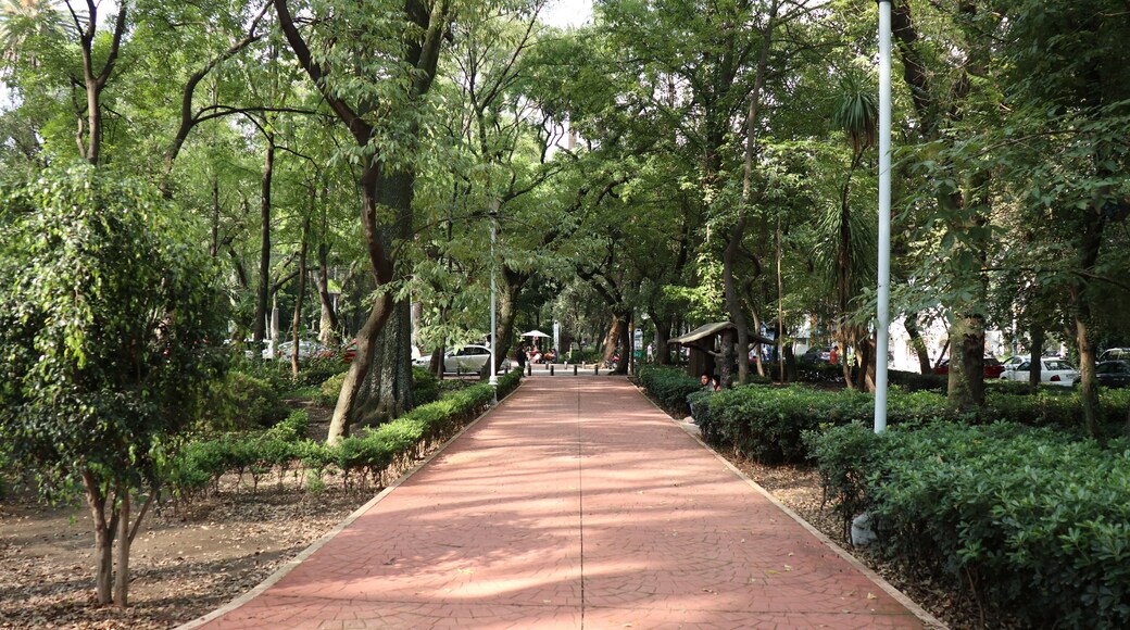 Chapultepec Norte