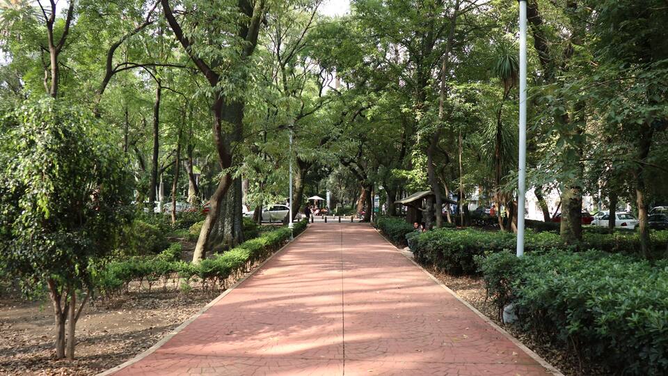 cdmx
