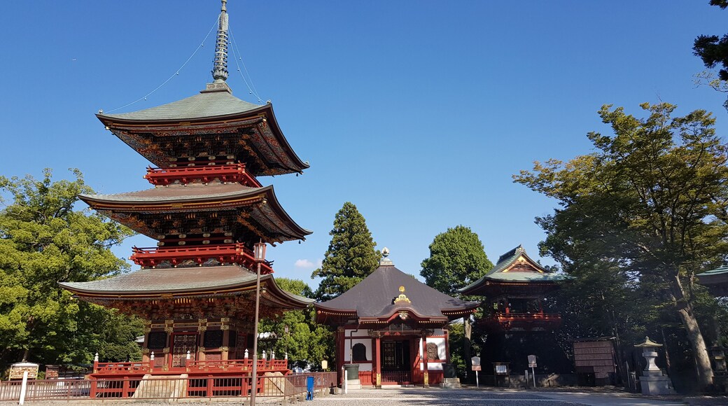 ฮานาซากิโจ