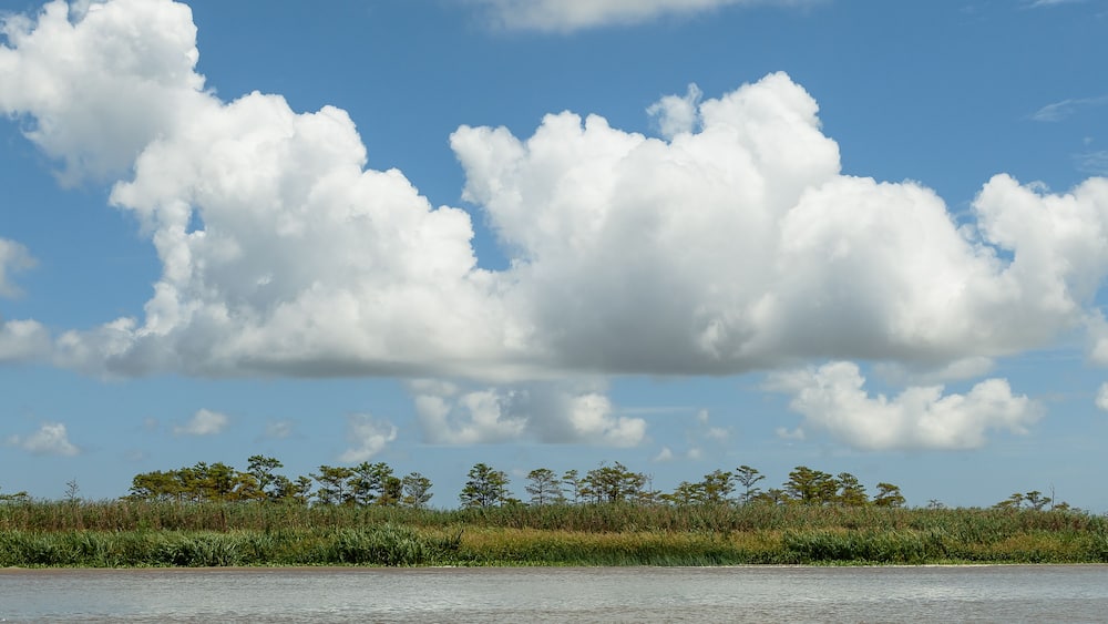Ein Fluss mit Uferwiese und Bäumen im Hintergrund unter blauem Himmel mit Wolken.