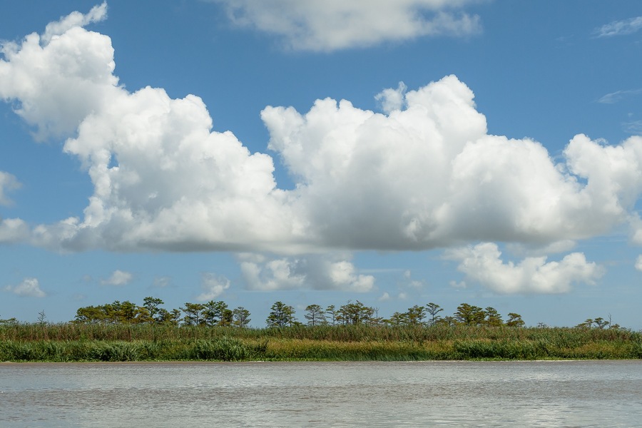 Wetlands, Tiger Pass, Plaquemines Parish, Louisiana, USA