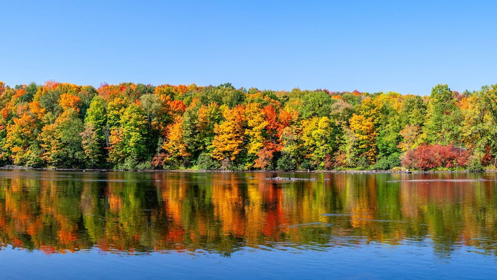 A calm lake reflecting a forest of autumn-colored trees.