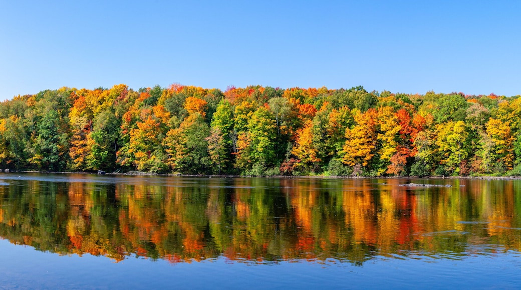 A calm lake reflecting a forest of autumn-colored trees.