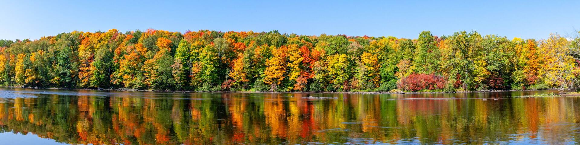 Reflection of a colorful forest in the Wisconsin River