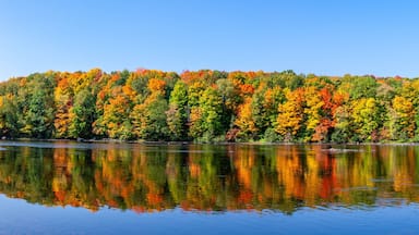 Reflection of a colorful forest in the Wisconsin River
