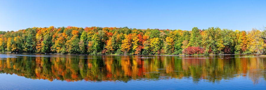 Reflection of a colorful forest in the Wisconsin River