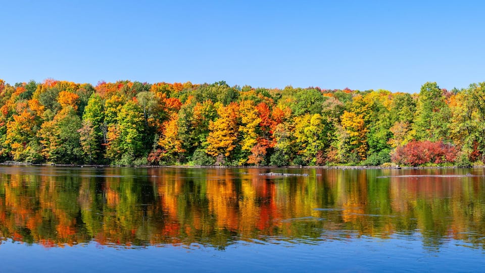 A calm lake reflecting a forest of autumn-colored trees.