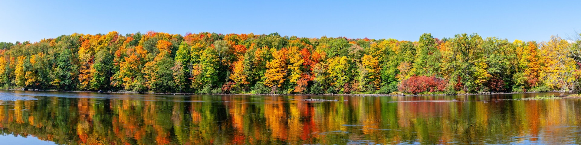 Reflection of a colorful forest in the Wisconsin River