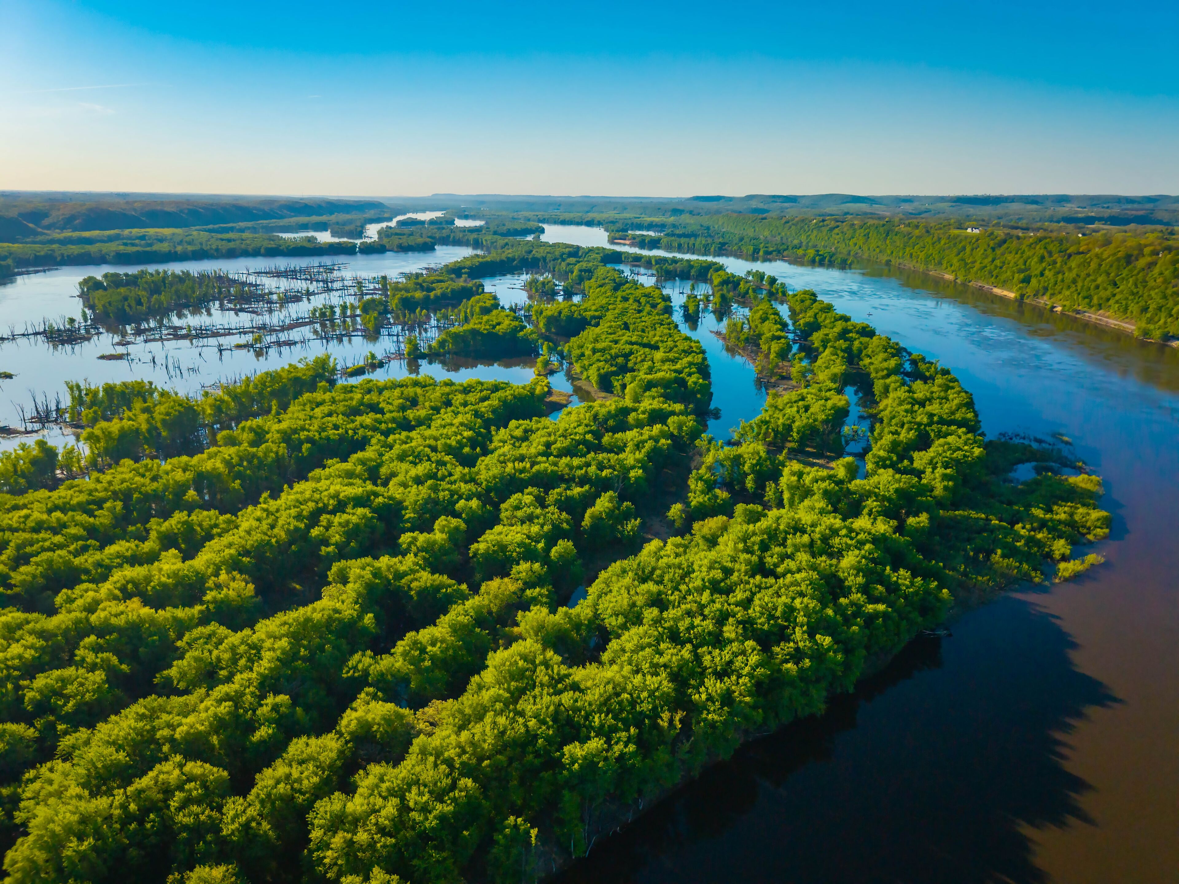 An aerial view of a river meandering through a dense, green forest.