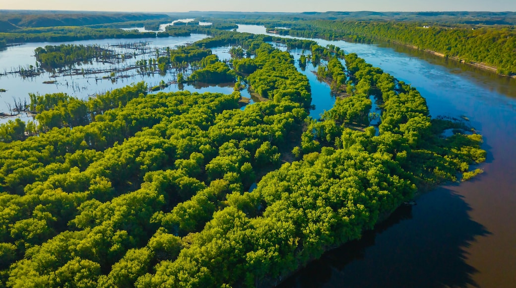 An aerial view of a river meandering through a dense, green forest.