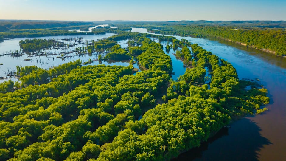 An aerial view of a river meandering through a dense, green forest.