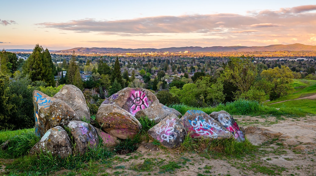 Dinosaur Hill Park at Sunset