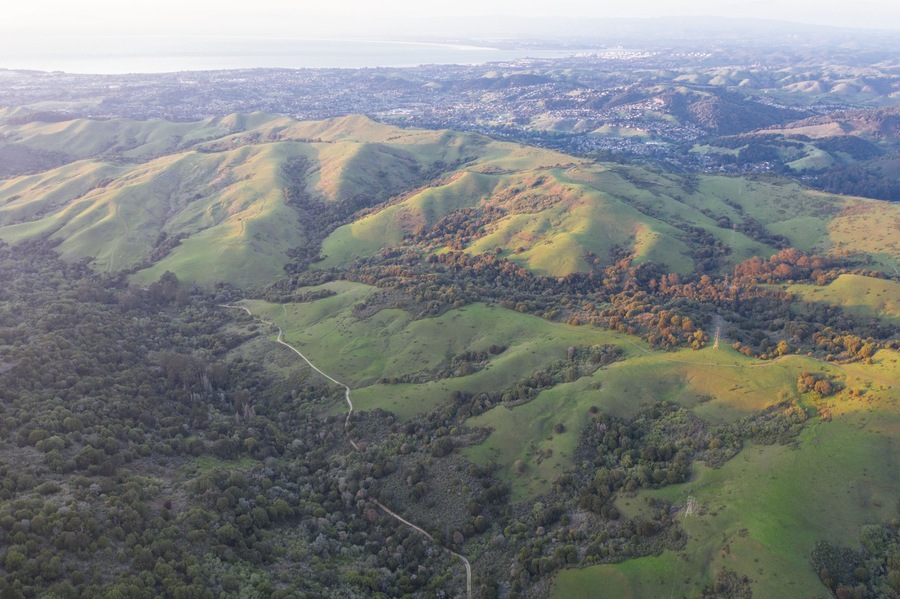 Evening sunlight shines on the green hills of the East Bay in Northern California. This open area, east of San Francisco Bay, is green in the winter due to rain and golden during the summer.