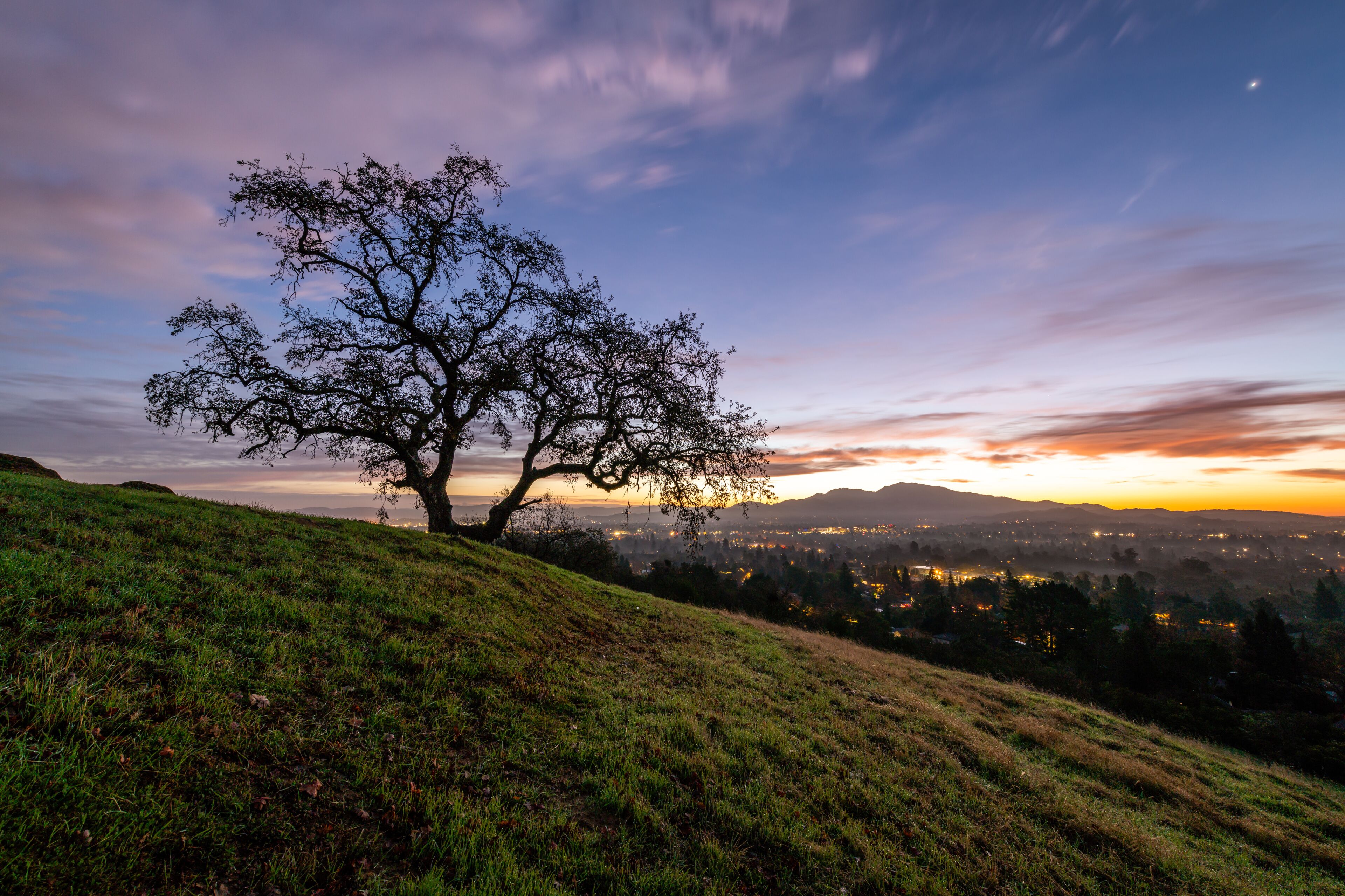 เพลเซนท์ฮิลล์