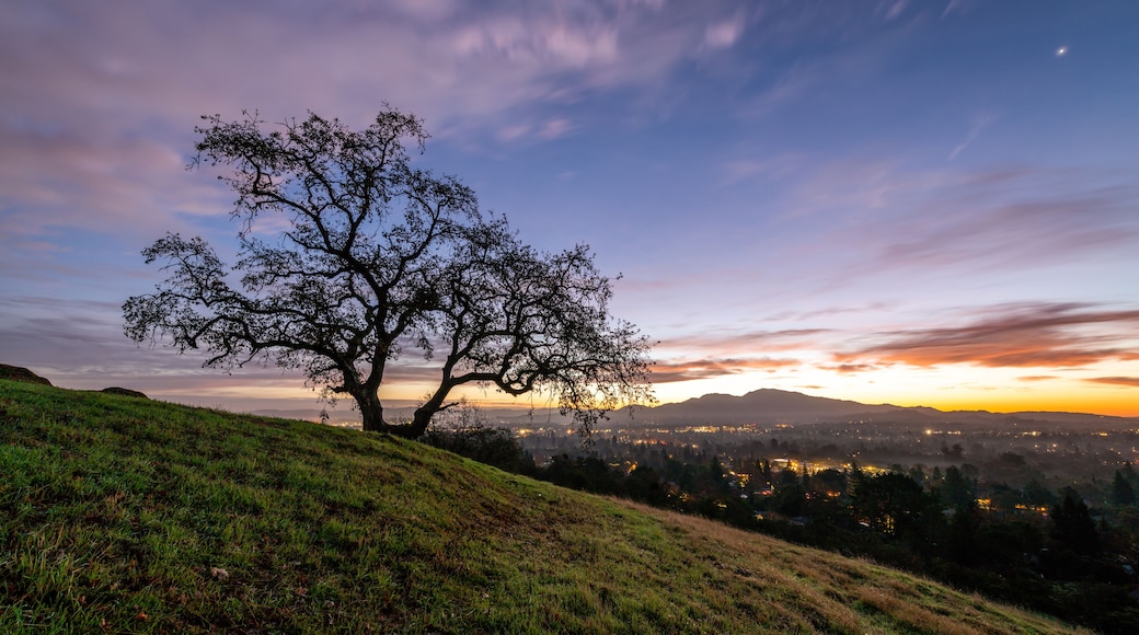 เพลเซนท์ฮิลล์