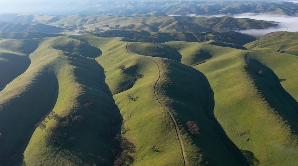 Early morning light shines on the rolling hills and valleys of the Tri-valley area of Northern California, just east of San Francisco Bay. This region is known for its vineyards and open space.