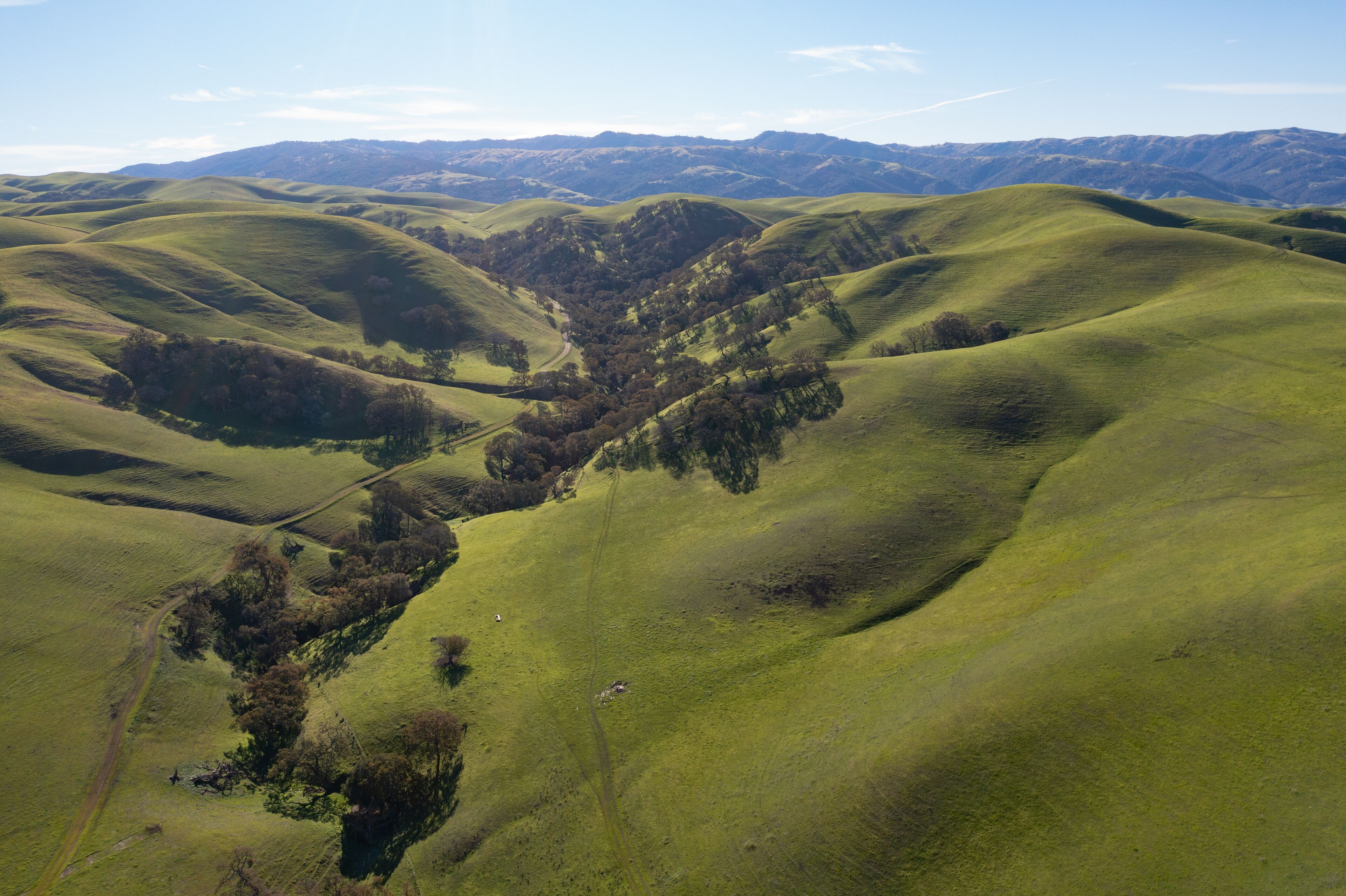 Green grass covers the rolling hills and valleys of the tri-valley area of Northern California, just east of San Francisco Bay. This beautiful region is known for its many vineyards and open space.