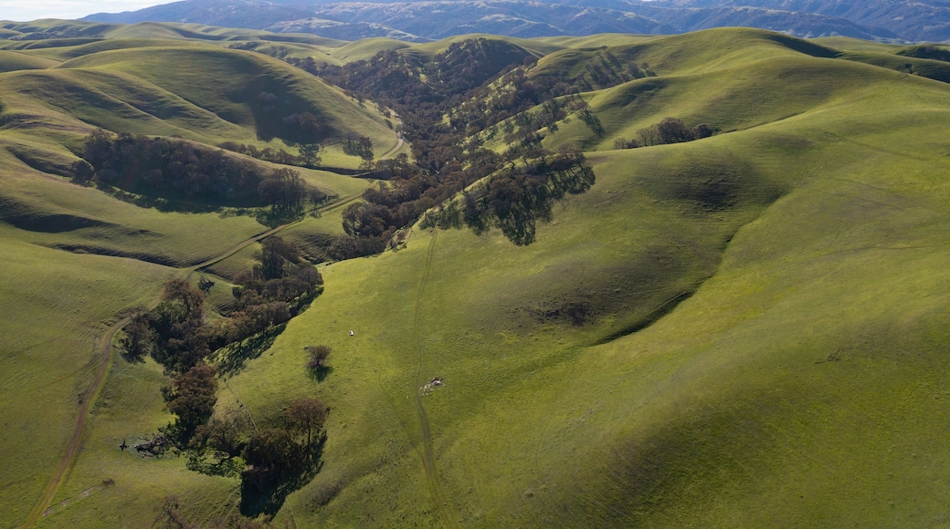 Green grass covers the rolling hills and valleys of the tri-valley area of Northern California, just east of San Francisco Bay. This beautiful region is known for its many vineyards and open space.