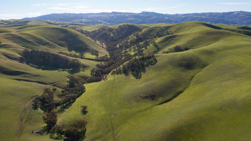 Rolling green hills with a valley and a dirt path.