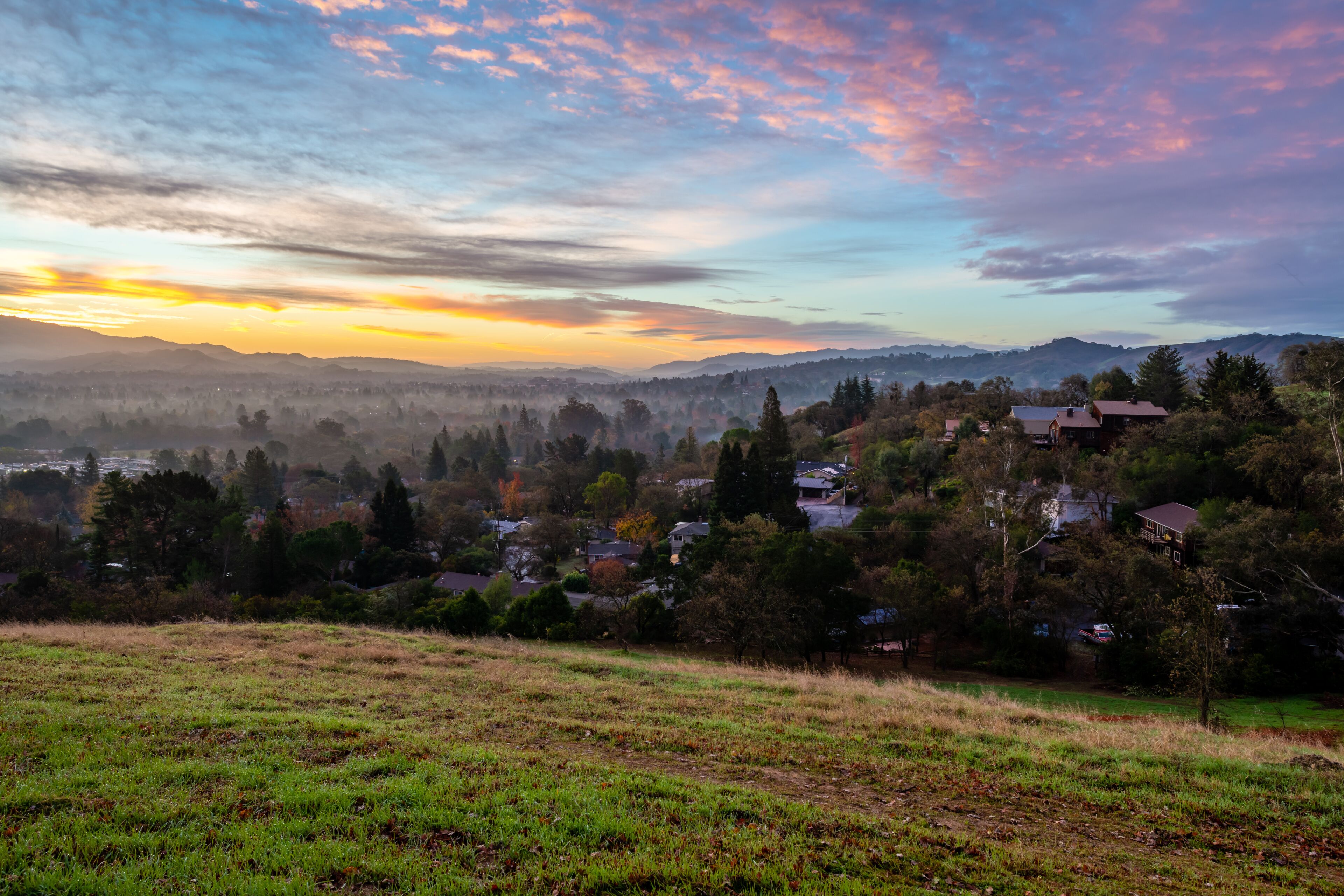 เพลเซนท์ฮิลล์