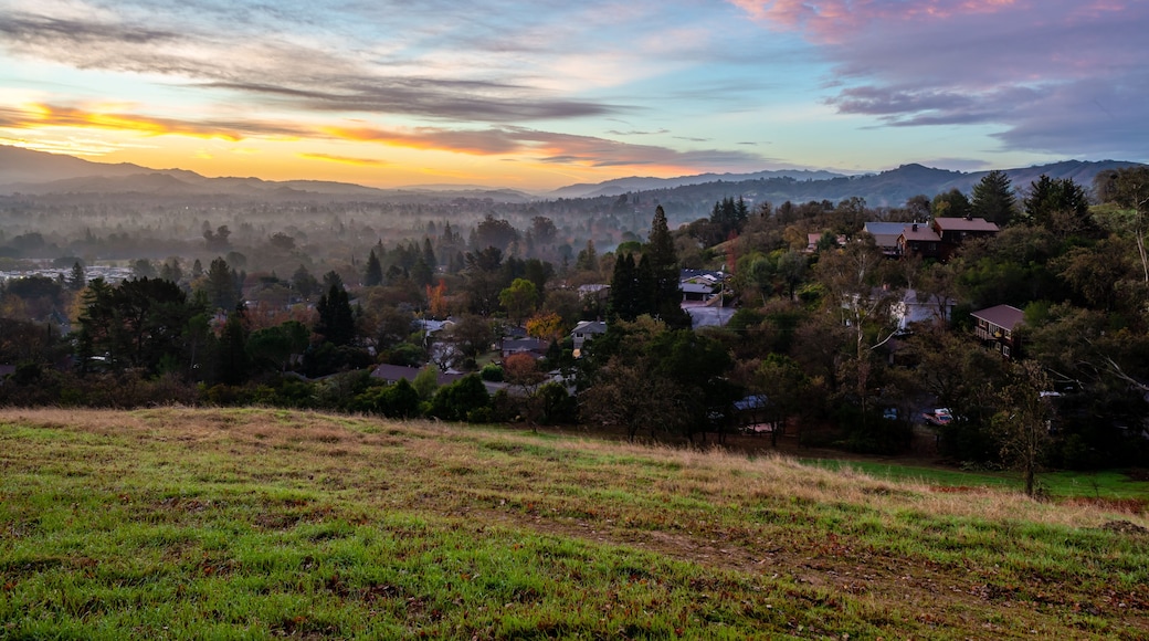 เพลเซนท์ฮิลล์