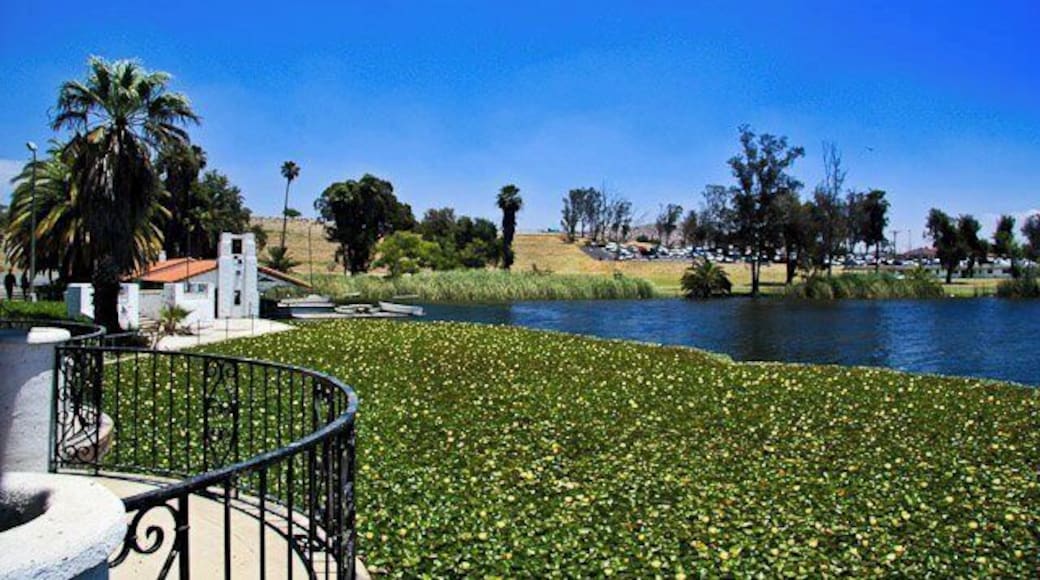 view from the boathouse