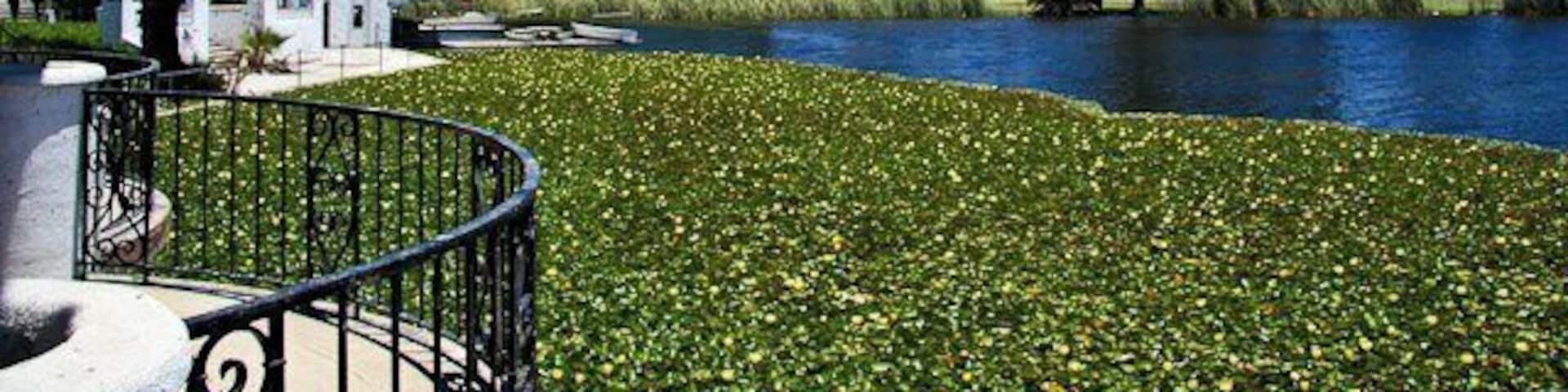 view from the boathouse