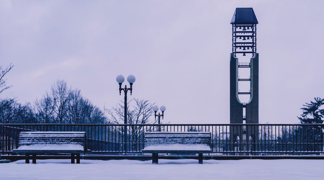 Shot of University of Illinois at Urbana-Champaign, South Quad McFarland Memorial Bell Tower