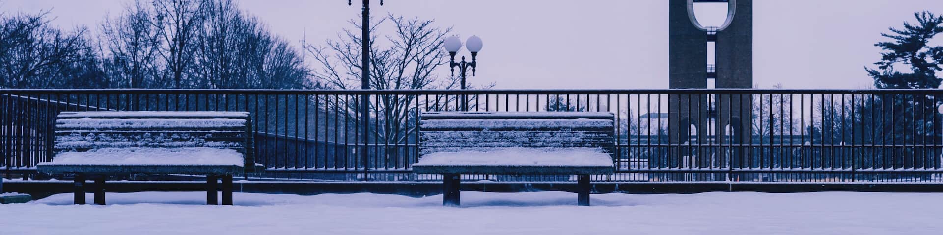 Shot of University of Illinois at Urbana-Champaign, South Quad McFarland Memorial Bell Tower