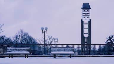 Shot of University of Illinois at Urbana-Champaign, South Quad McFarland Memorial Bell Tower