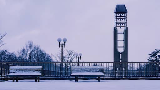 Shot of University of Illinois at Urbana-Champaign, South Quad McFarland Memorial Bell Tower
