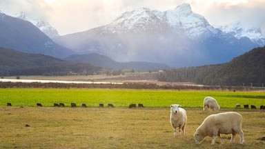 Glenorchy featuring farmland, land animals and mountains