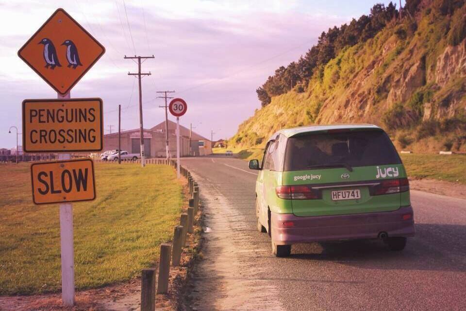 Uma estrada com uma van verde, placas indicando 'PÁSSAROS PINGÜINS ATRAVESSANDO' e 'REDUZA A VELOCIDADE', e uma placa de limite de velocidade de 30.