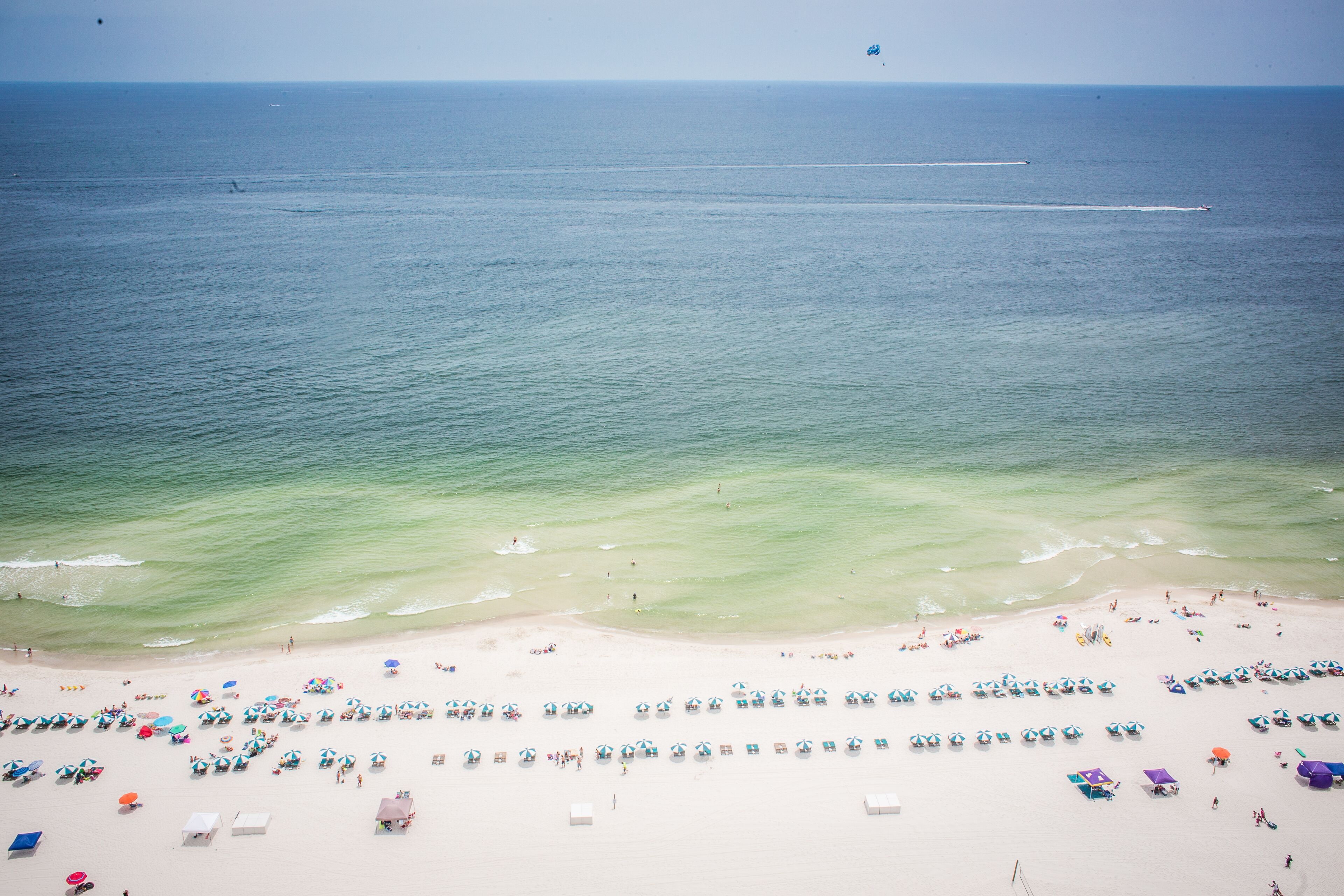 A beach with numerous umbrellas and people.