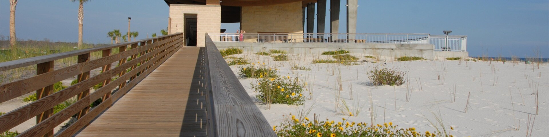 Un paseo marítimo de madera que conduce a un edificio moderno con techo curvo y columnas.