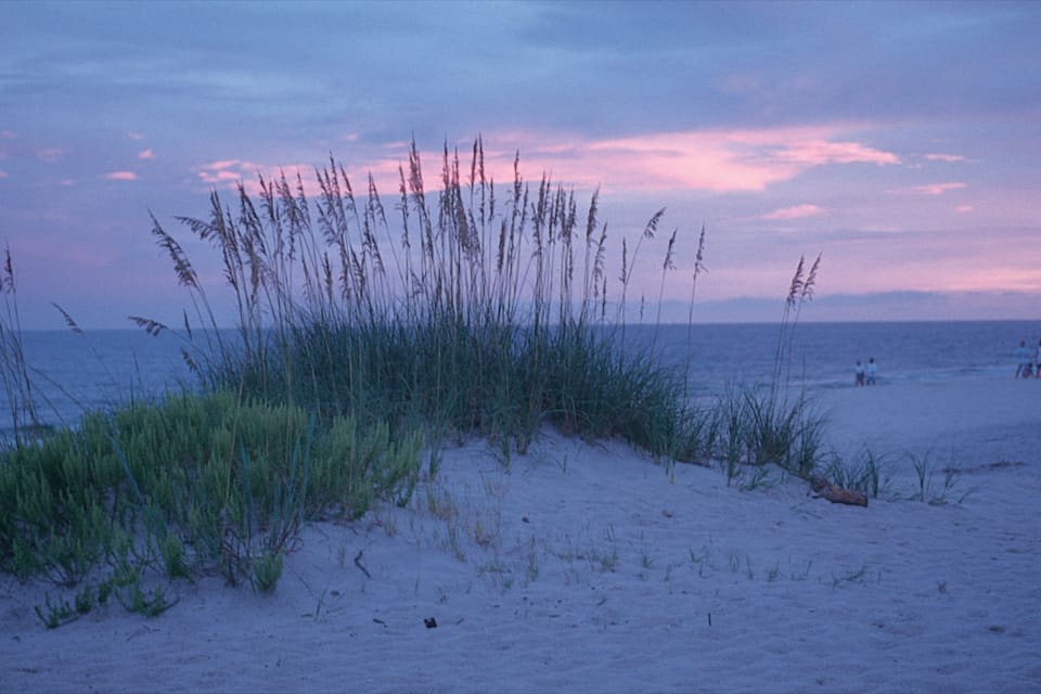 Ein Strand mit hohem Gras und Menschen in der Ferne.