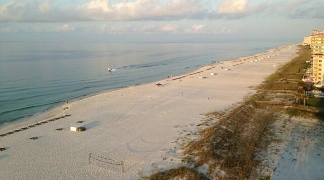 Beautiful Monday morning on the gulf😊