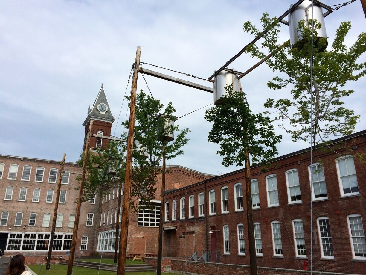 My son called this sculpture the tortured trees.  Upside down and growing to the sky.  